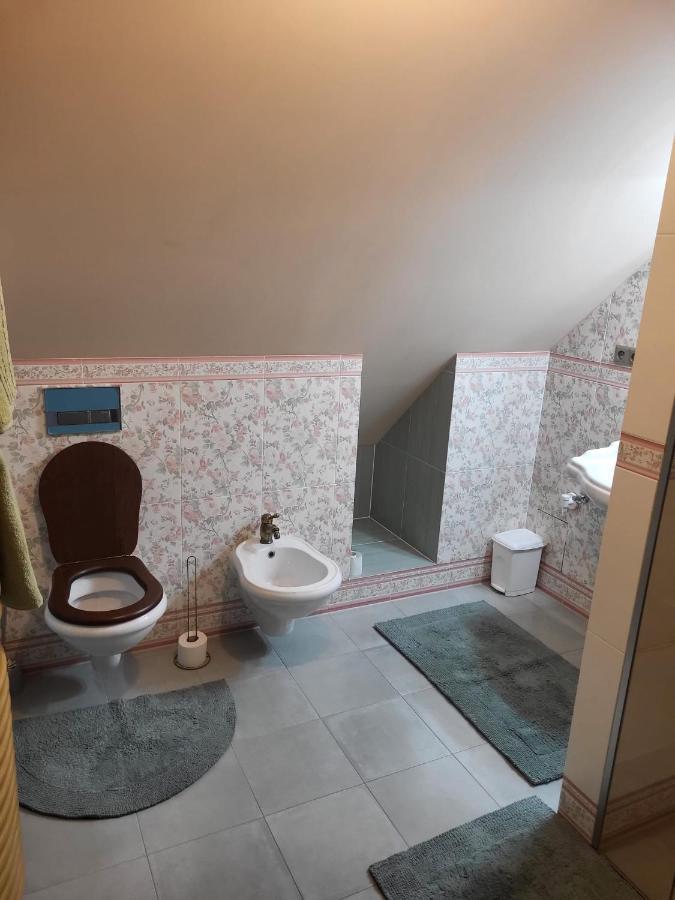 Roof Apartment Ztracena Olomouc Eksteriør billede